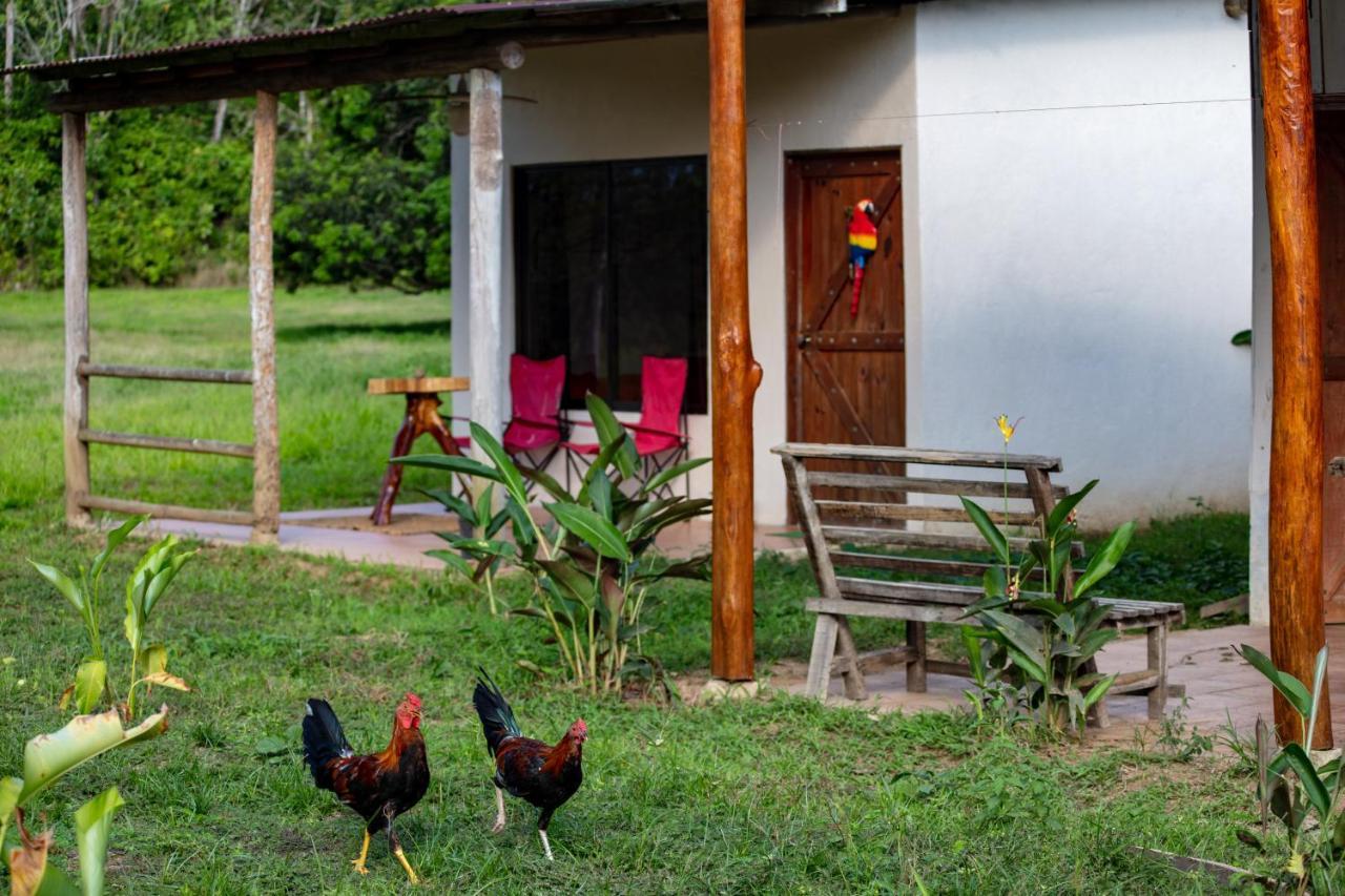 Oso De Osa Hotel Sierpe Exterior foto
